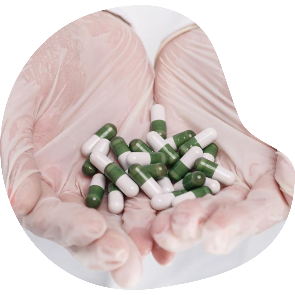 AN Pharmaceuticals